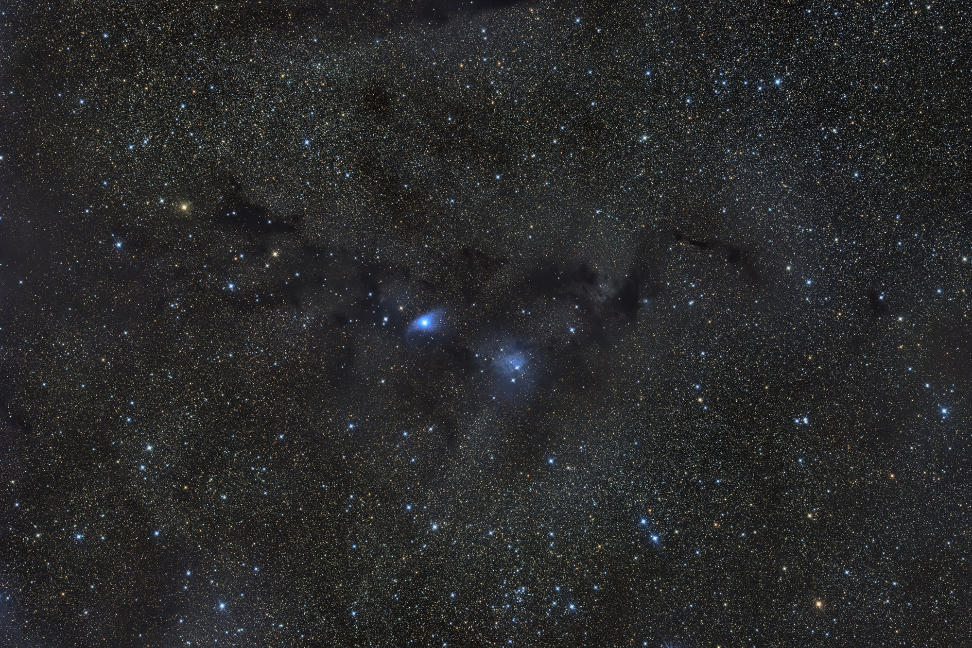 Van den Bergh 126 und van den Bergh 134 sind 2 blaue Reflexionsnebel im Sternbild Fuchs, umgeben von zahlreichen Dunklenebeln, in deren Anordnung man die Silhuette von Nessie erkennen kann.
